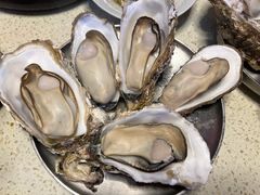 -蚝堡·生蚝海鲜烧烤物种起源•海肠捞饭(刘公岛店)