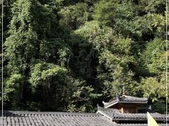 -龙颈河漂流