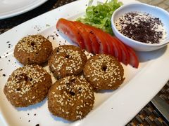 falafel-shami house莎米屋清真美食自助餐(肇庆大厦店)