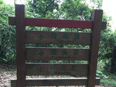 -火炉山森林公园