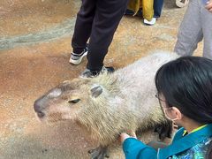 -正佳雨林生态植物园