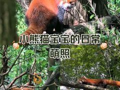 -上海野生动物园