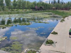 -永定河休闲森林公园