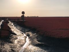 -红海滩国家风景廊道