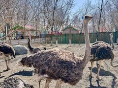 -水上乐园·欢乐世界