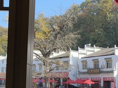 -千年银杏谷文化旅游区
