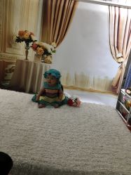 -星豆豆儿童摄影(南郊太白南路店)