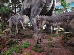 -湖南省地质博物馆