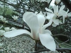 android_upload_pic-钓鱼台国宾馆