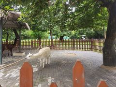 -西安秦岭野生动物园