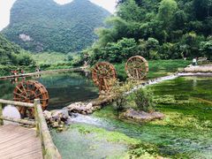 -靖西鹅泉风景区