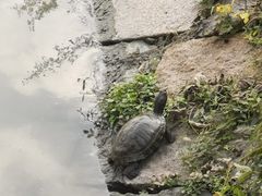 -上海方塔园