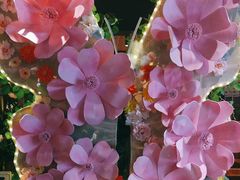 -云尊府云南菜·蒸汽石锅鱼(学清路店)