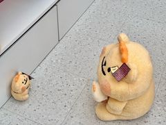 -百联奥特莱斯广场(南京店)