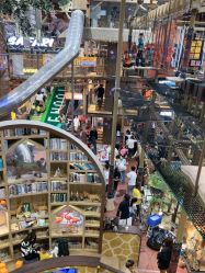 -卡通尼·Safari非洲探索乐园·生日会(金桥国际商业广场店)