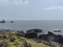 -涉地可支