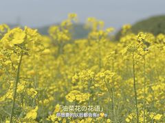 -八卦田遗址公园