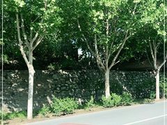 -和庆斋阳坊秘制羊蝎子火锅(云岗店)