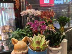 -豆豆花艺(新光天地店)