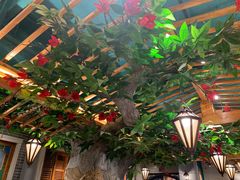 -老广酒楼(樱花店)