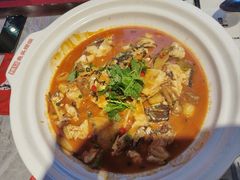 -魏铭鱼头捞饭(晋阳路店)