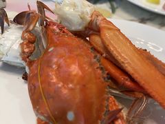 -冀粤香海鲜自助餐厅(西美五洲店)