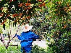 -上海市龙华烈士陵园