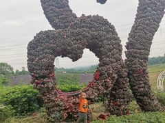 -紫颐香薰山谷景区