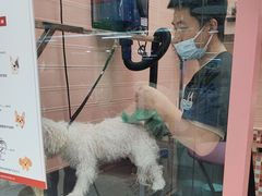 -FAELING PETS美天灵宠物(合生汇店)