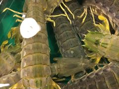 -浪琴湾尾角仔海鲜坊