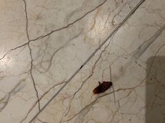 -嘉悦汗蒸时代(曙光路店)