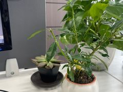 -海汕记·潮汕鲜牛肉火锅·自助