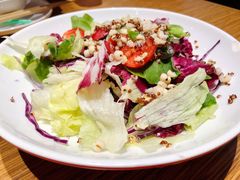 蔬菜沙拉-金掌勺·锅包肉(广渠门店)