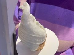 -野人牧坊Gelato(天津南开大悦城店)