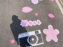 -龟山风景区-龟山电视塔
