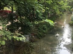-丹樱生态园