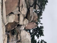 -南通洲际绿博园