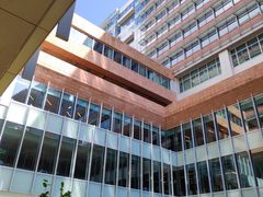 -香港大学