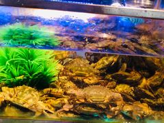 -V-ONE西雅图海鲜自助餐厅(仓山万达广场店)