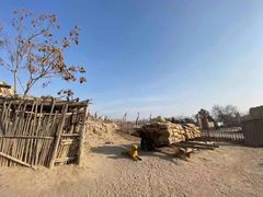 -镇北堡西部影城