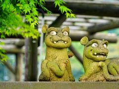 -树山生态村