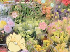 -宝鸡东道花鸟鱼虫市场(吉利花园商场店)
