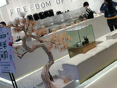 景观位-KUNCHA鲲茶·江西制茶(铜锣湾店)