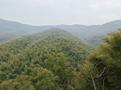 -莫干山风景区