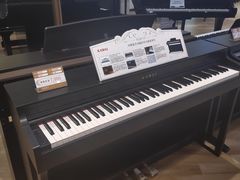 -柏斯琴行(汾阳店)