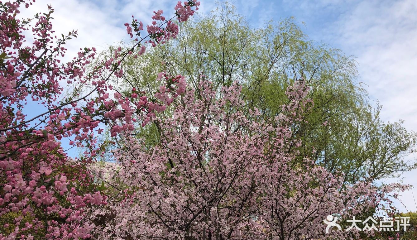 同济🌸
