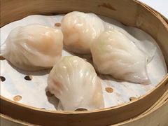 -春满园·早茶·粤菜·宴会(喜宴店)