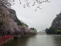 -星湖旅游景区七星岩