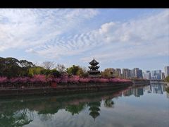 -望江楼公园