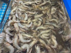 -青岛蓝海大饭店·爱琴海自助餐厅(崂山店)